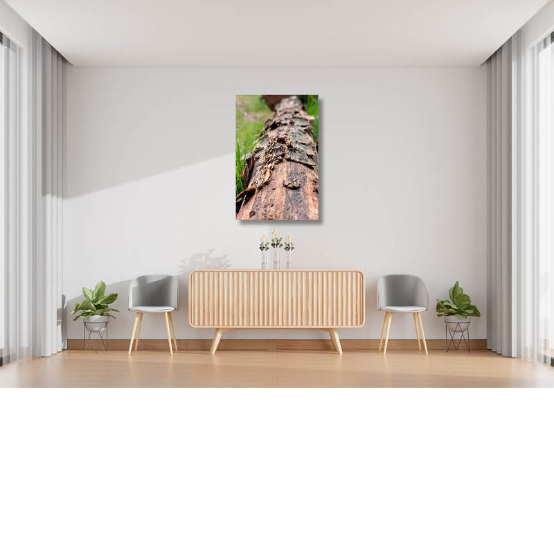 Boomschilfers in close-up