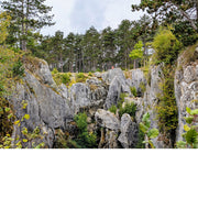 De Fondry des Chiens is een zinkgat in het Natuurpark Viroin-Hermeton.