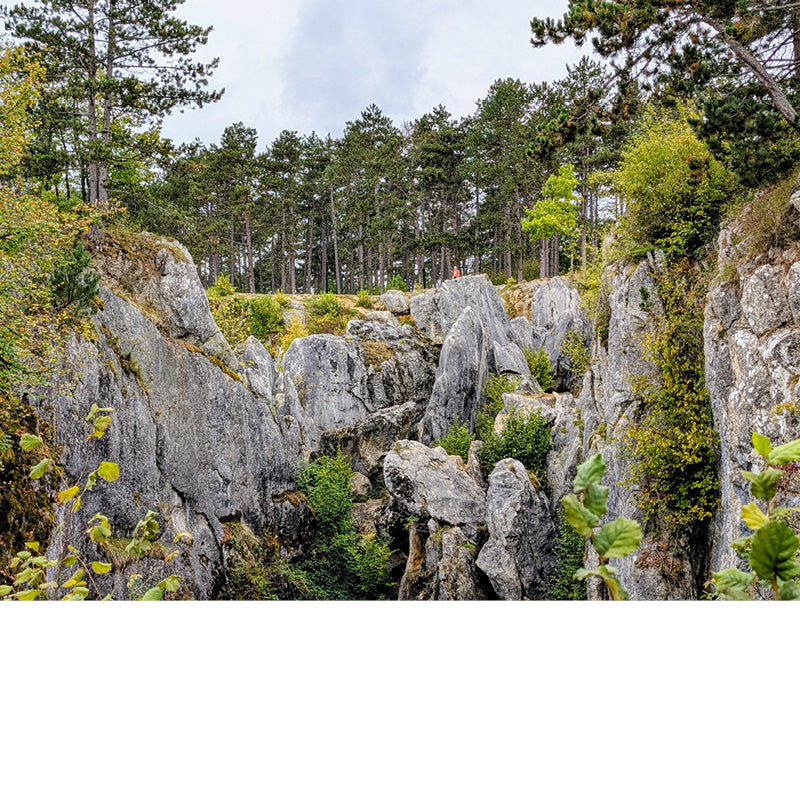 De Fondry des Chiens is een zinkgat in het Natuurpark Viroin-Hermeton.