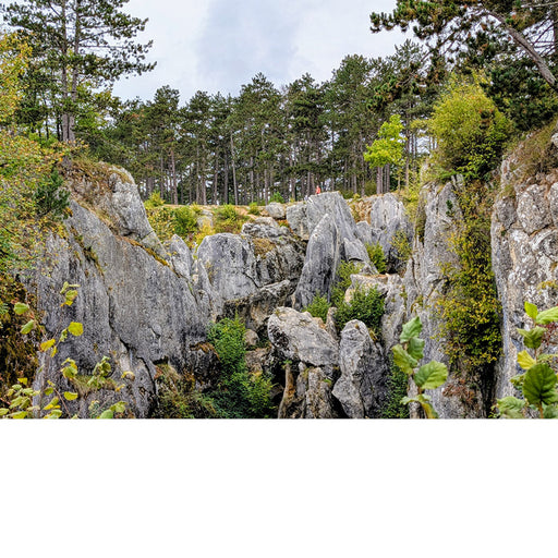 De Fondry des Chiens is een zinkgat in het Natuurpark Viroin-Hermeton.
