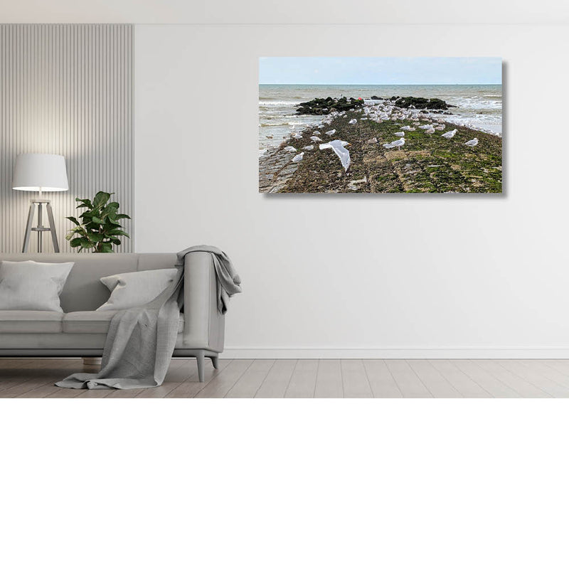 Vlucht van de meeuwen op de golfbreker