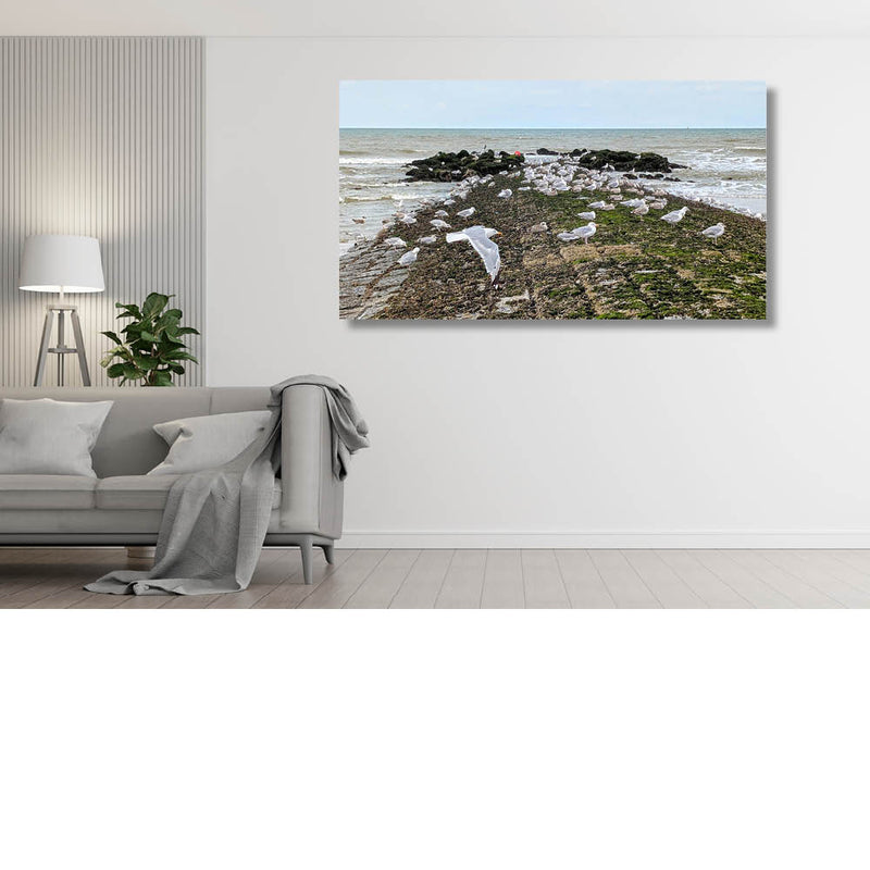 Vlucht van de meeuwen op de golfbreker