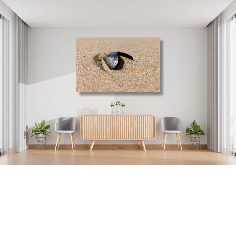 Mosselschelpje op het strand