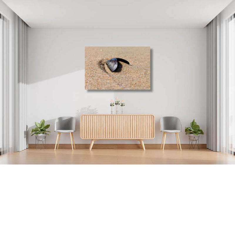 Mosselschelpje op het strand