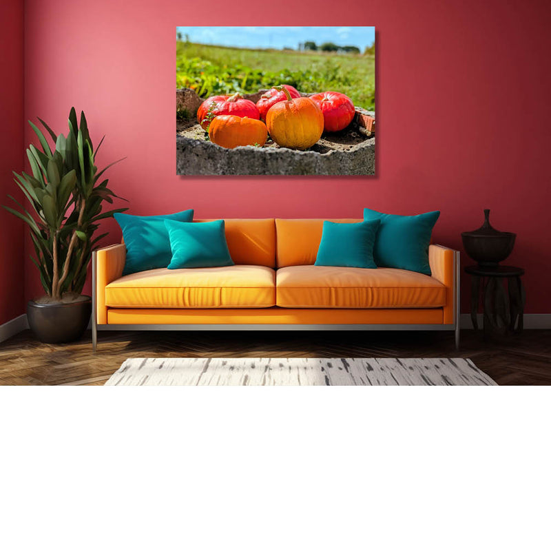 Pompoenen in oranje en rood