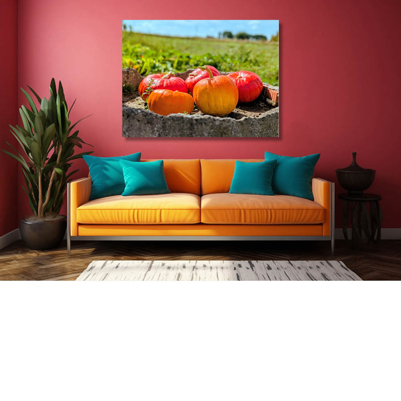 Pompoenen in oranje en rood