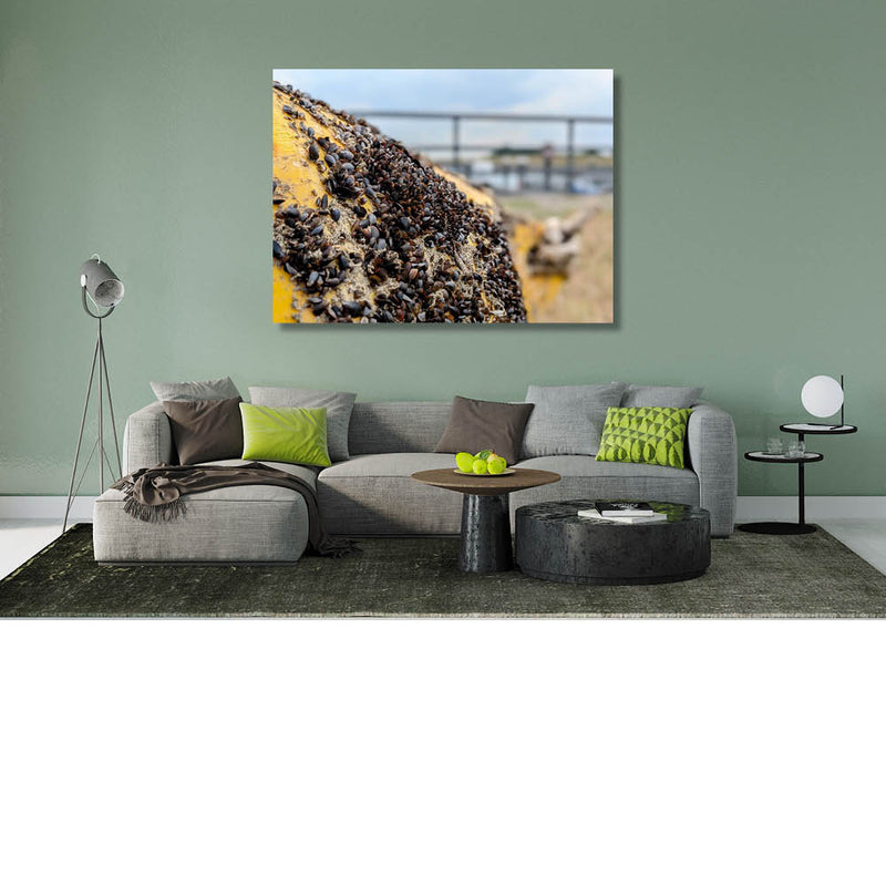 Minimosseltjes op een boei