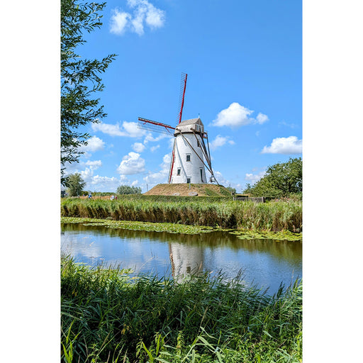 Langs de Damse Vaart staat een mooie, oude windmolen, die heerlijk reflecteert in het water.