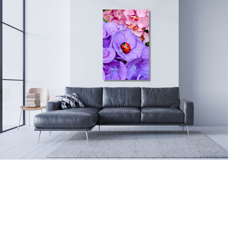 Lieveheerstje rust in bloem