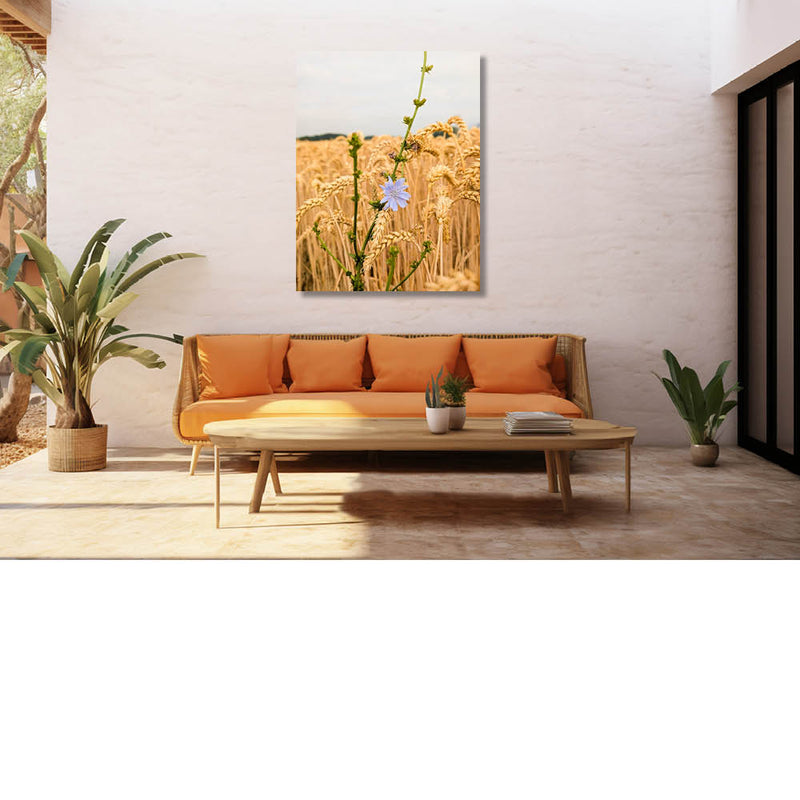 Een vleugje blauw in een veld van goud