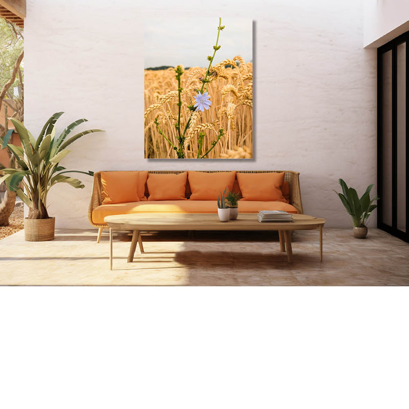 Een vleugje blauw in een veld van goud