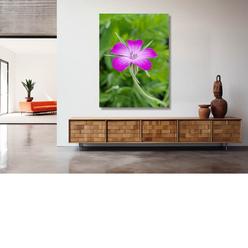 Spetterend roos springt uit de groene achtergrond