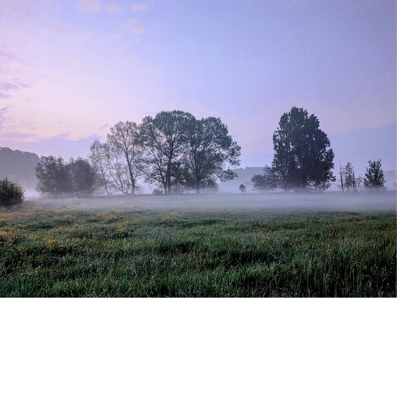 De hemel klaart zachtjes op, voor zonsopgang, tijdens een koele lentemorgen.