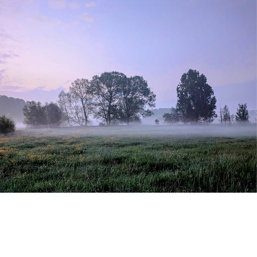 De hemel klaart zachtjes op, voor zonsopgang, tijdens een koele lentemorgen.