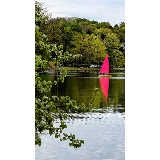 Het felroze zeil van de zeilboot maakt een mooie reflectie op het meer van Genval.