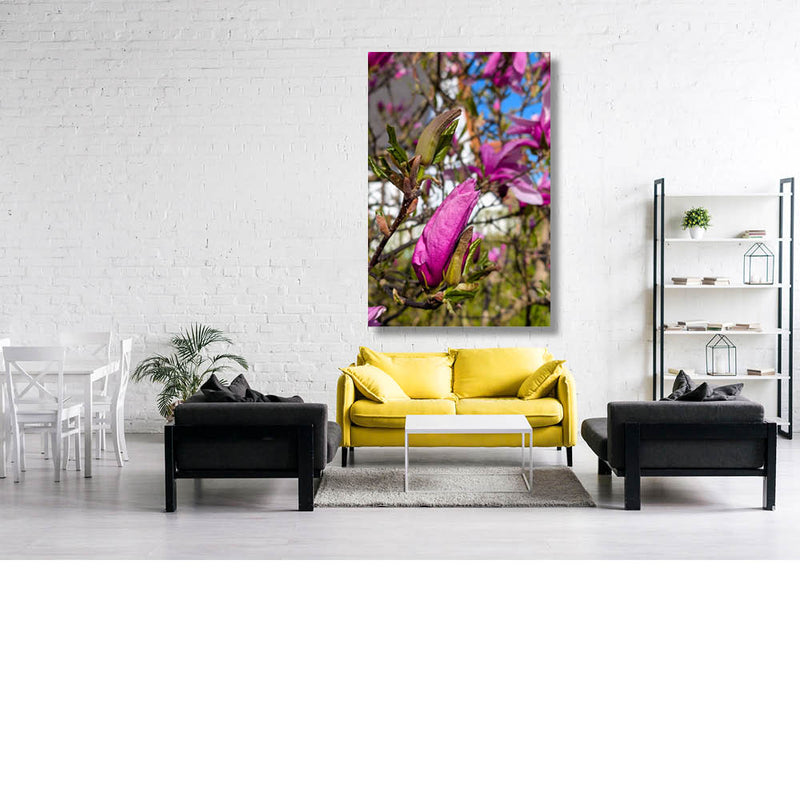 Magnifieke Magnolia