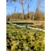 Opgepast voor de prikkeldraad!