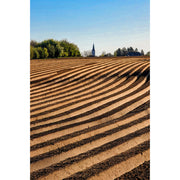 De lijnen van het pas geploegde veld lijken te leiden naar het kerkje in de verte.