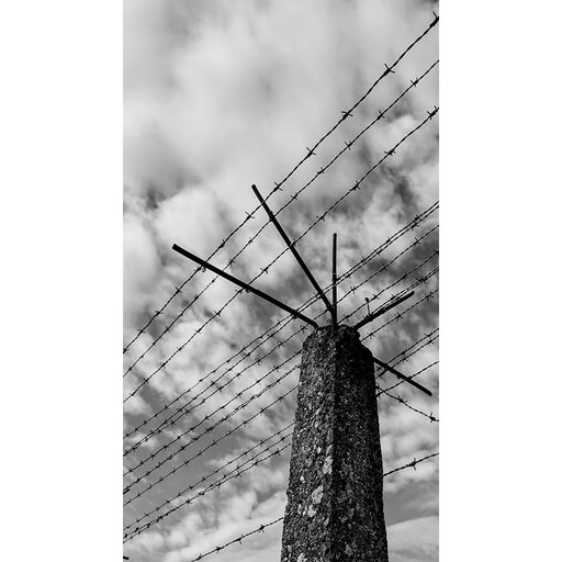 De prikkeldraad herinnert ons tot op vandaag aan het onrecht dat gebeurde in het Fort van Breendonk.