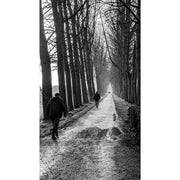 Deze wandelaars hebben nog een lange weg te gaan, tussen de hoge bomen.