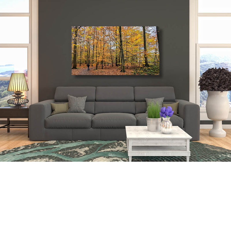 Bos in herfstkleuren