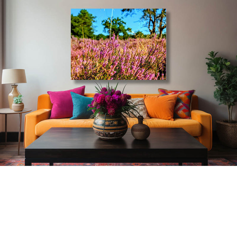 Zo schoon op de wereld de purperen hei