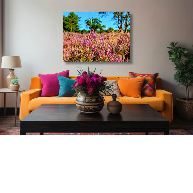 Zo schoon op de wereld de purperen hei