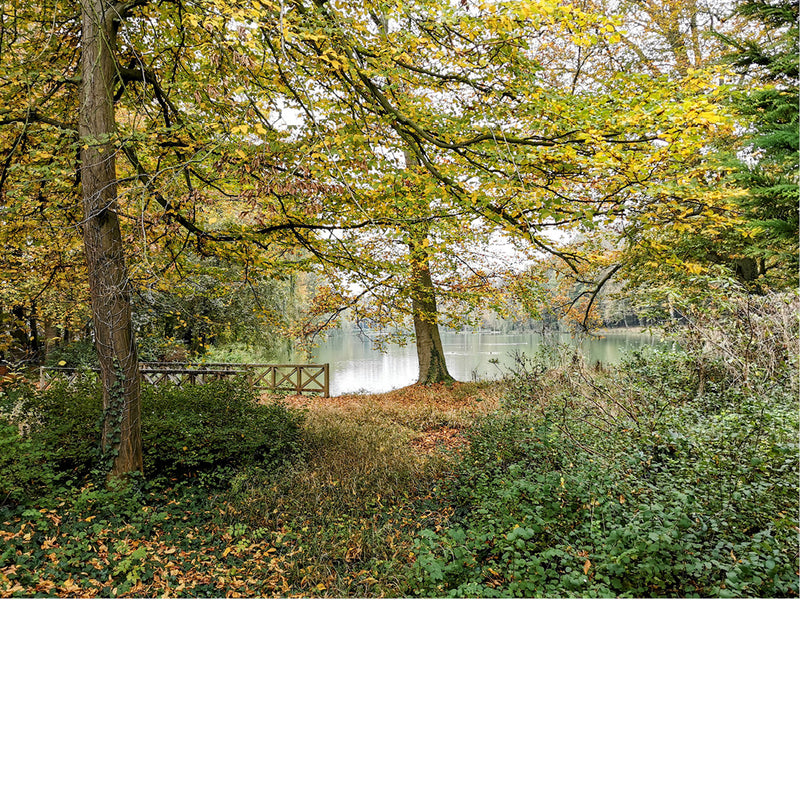 Verstopt achter een hoge poort ligt dit sprookjesachtige park, met een mooie vijver.