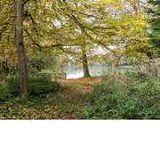 Verstopt achter een hoge poort ligt dit sprookjesachtige park, met een mooie vijver.