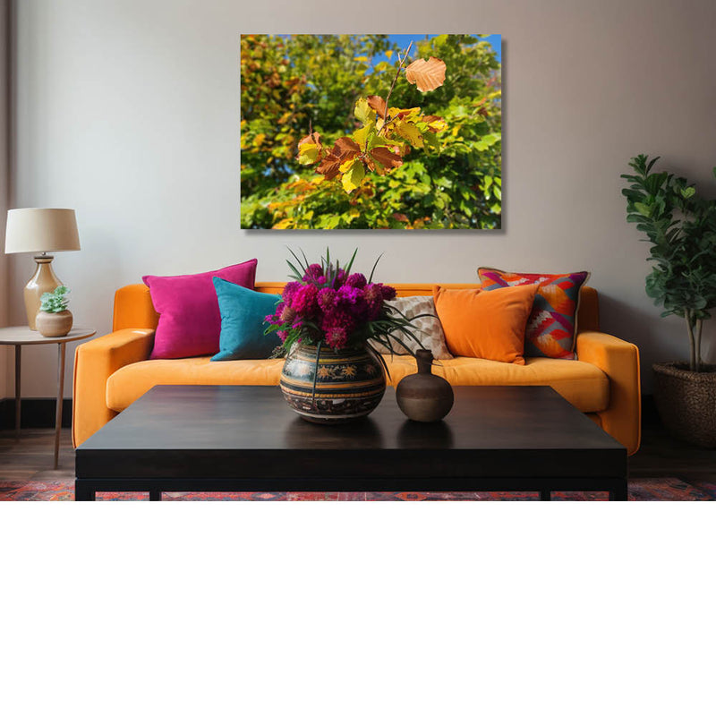 Herfstkleuren aan de boom