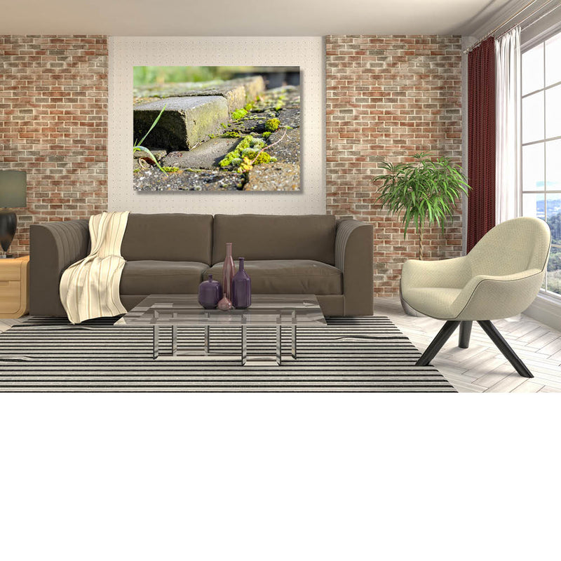 Mos groeit op de klinkers