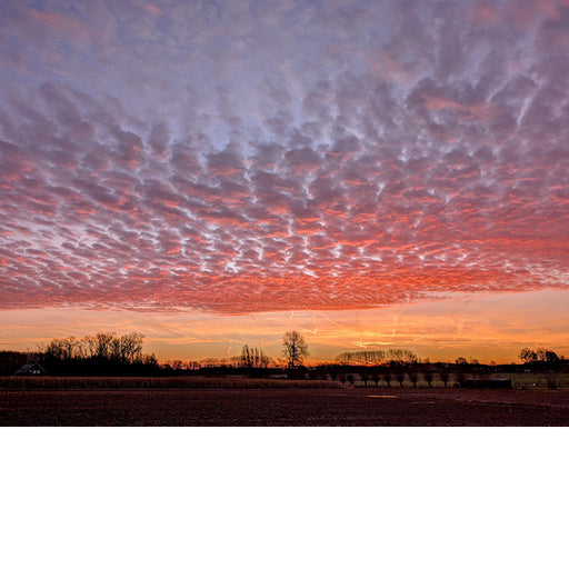 Onweerstaanbare ochtendlucht met 1001 kleurtinten.