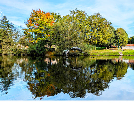 Deze prachtige vijver met beelden van dolfijnen vind je in Sterrebeek.