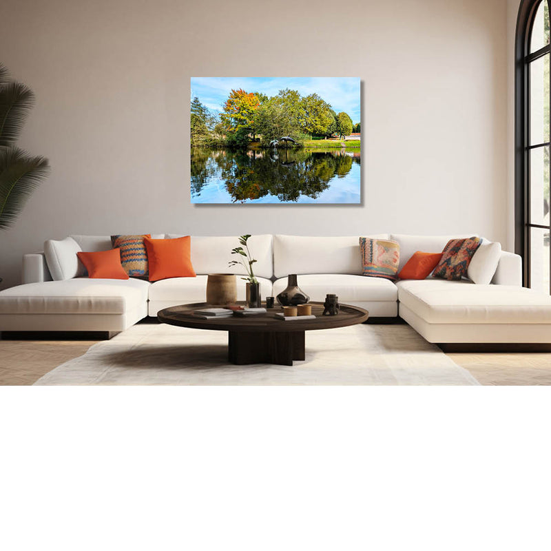 Waterspiegeling met dolfijnen