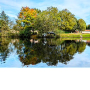 Deze prachtige vijver met beelden van dolfijnen vind je in Sterrebeek.