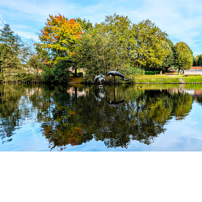 Deze prachtige vijver met beelden van dolfijnen vind je in Sterrebeek.