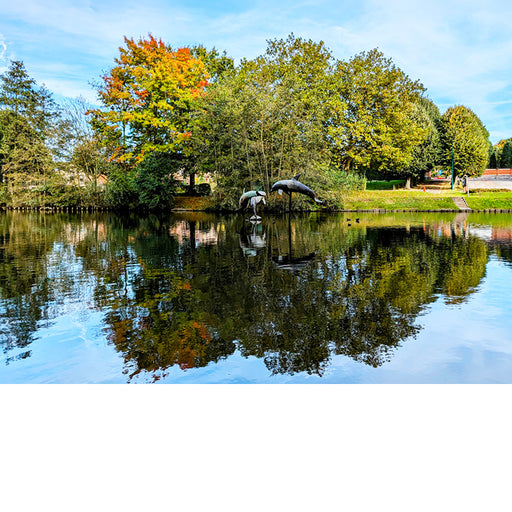Deze prachtige vijver met beelden van dolfijnen vind je in Sterrebeek.