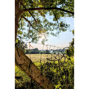 Zicht op de onderliggende vallei, van onder de beschutting van een boom.