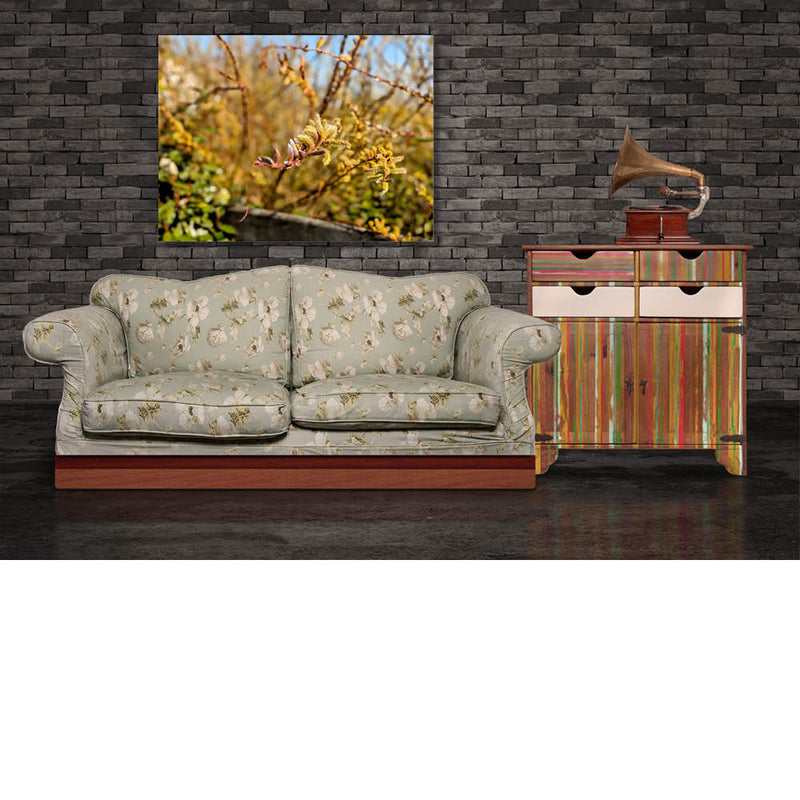 Wilgenkatjes in bloei