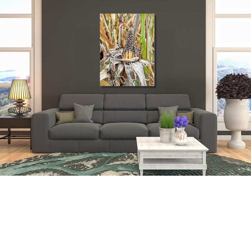 Te laat voor de oogst