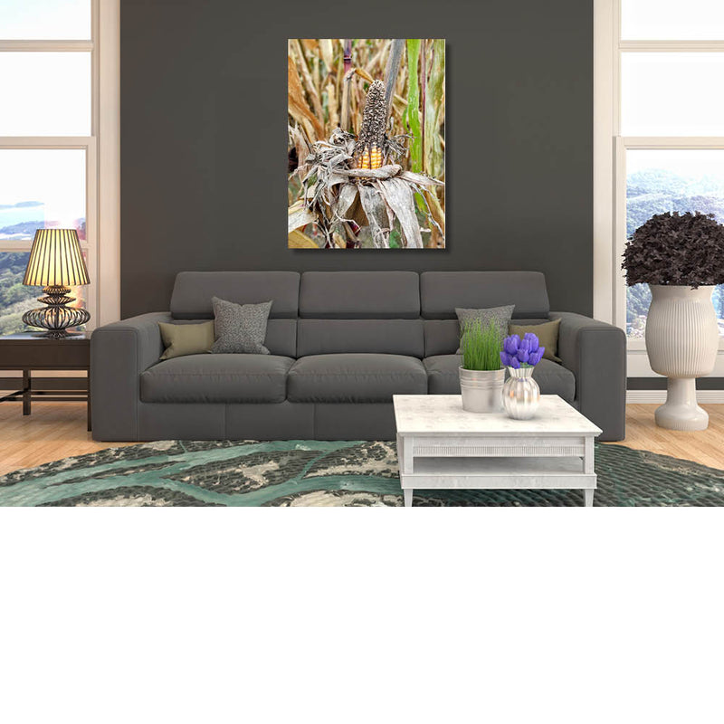 Te laat voor de oogst