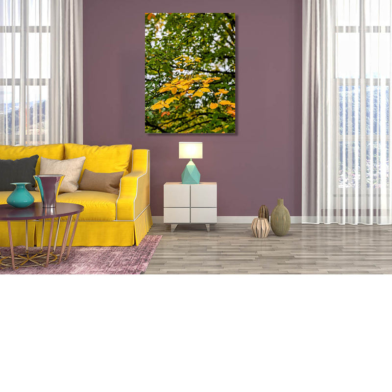 Herfstgeel in de bomen