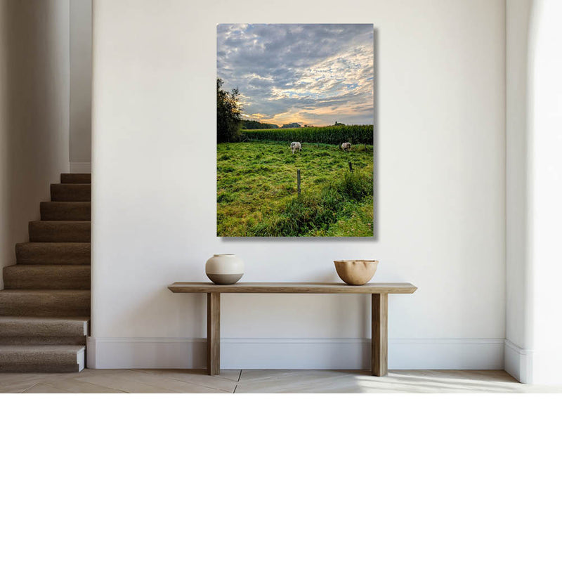 Grazen onder een mooie wolkenhemel