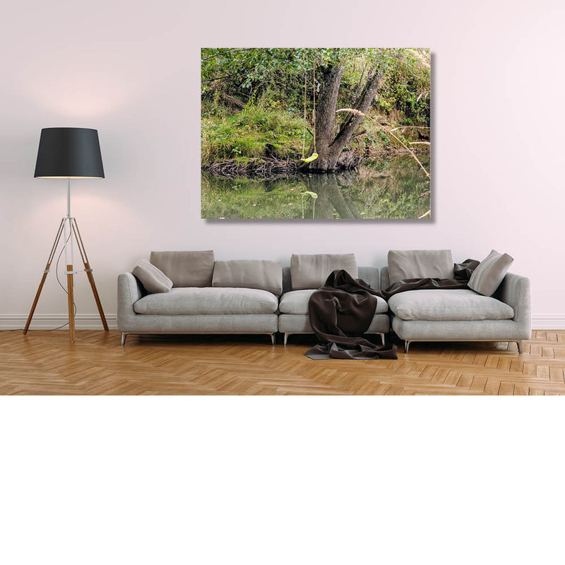 Onverwachte schommelplek