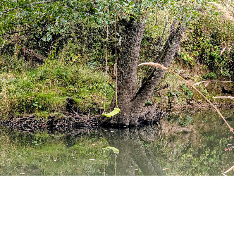 Boven de Viroin, in het Entre-Sambre-et-Meuse National Park kan je schommelen boven het water!