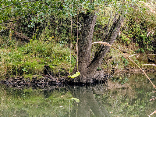 Boven de Viroin, in het Entre-Sambre-et-Meuse National Park kan je schommelen boven het water!