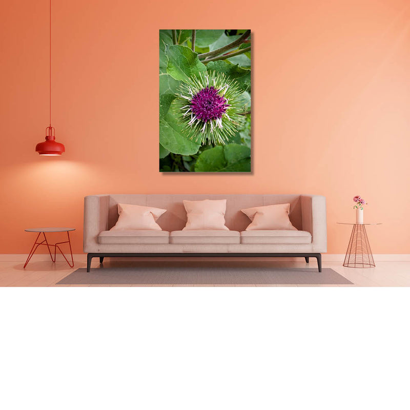 Hoe dichter, hoe mooier