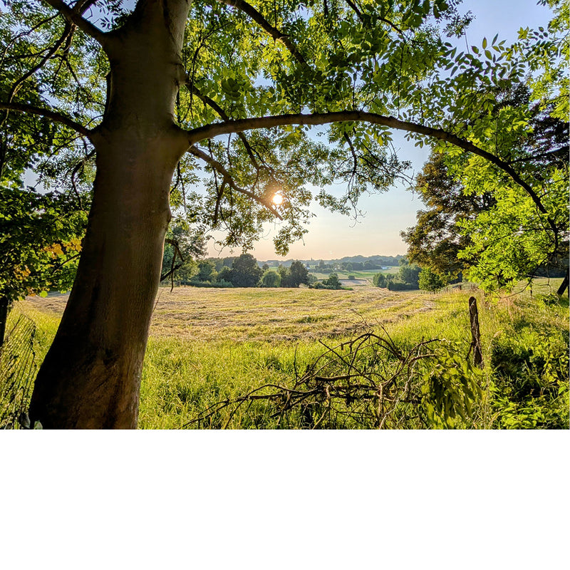 Schuilend onder een boom is het genieten van de stralende zon in de vallei.