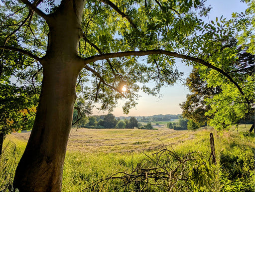 Schuilend onder een boom is het genieten van de stralende zon in de vallei.