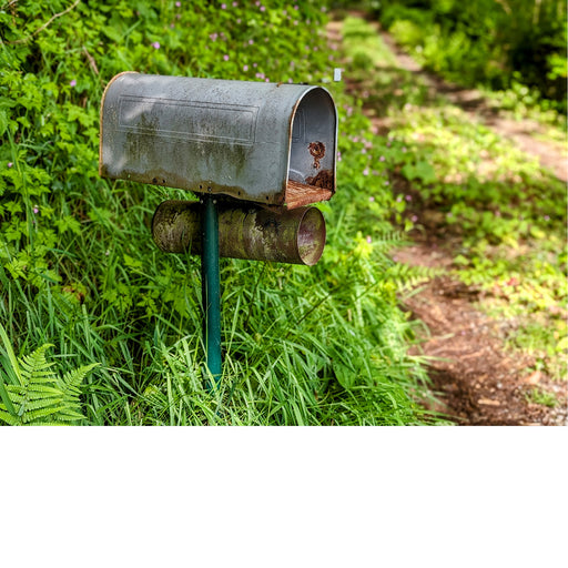 In deze oude brievenbus komt niet veel post meer.